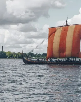 vikings
