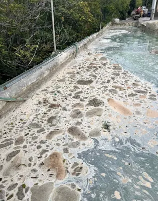 apovlita