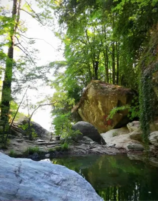 faraggi