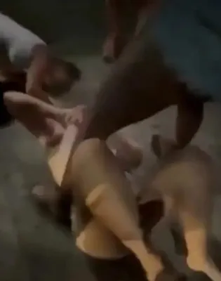 ξυλο