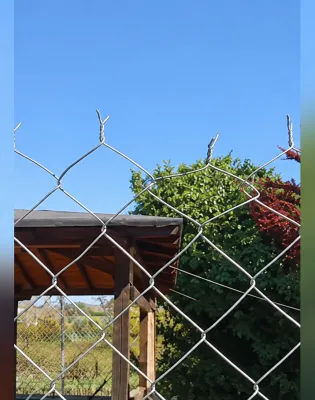 φραχτης