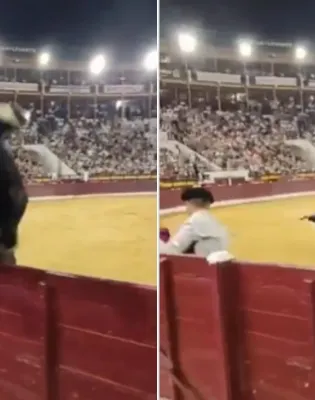 Ταύρος στην Ισπανία