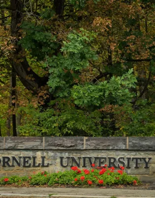 Cornell