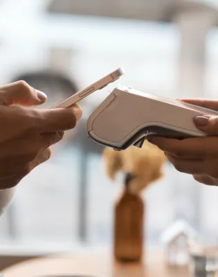 IRIS payment