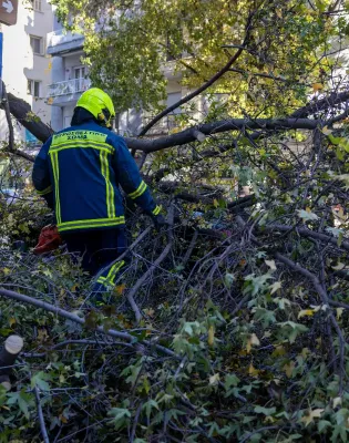 Πυροσβέστης σε επιχείρηση απομάκρυνσης πεσμένου δέντρου