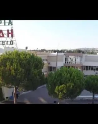 βασιλειαδη
