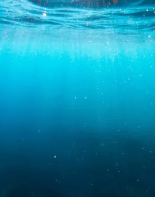 ocean