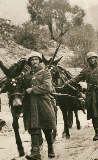 Μνημείο ιστορικής άγνοιας το μήνυμα της υπ. Παιδείας για την επέτειο της 28ης Οκτωβρίου