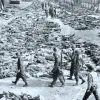ταινία μικρού μήκους 