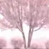 χιονι καταιγιδα