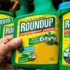 roundup
