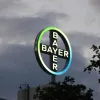 Bayer