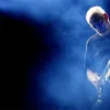 David Gilmour