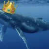 Φάλαινα
