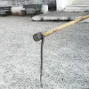 Φίδι στη Βόνιτσα
