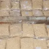 χαπια τζιχαντιστες