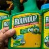 Roundup