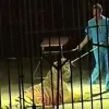 Θηριοδαμαστής 