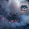 bolsonaro amazonia foties