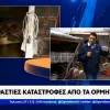 eukarpia