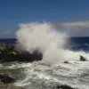 μελτέμι