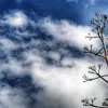 πτώση της θερμοκρασίας ουρανός σύννεφα κρύο