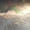 Άνδρος