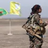 sdf