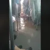 video leoforeio plhmmyra