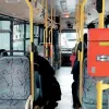 Λαθρεπιβίβαση εισιτήρια