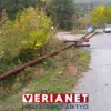 Βέροια