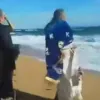 θαλασσα