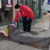 Ερυθρός Σταυρός