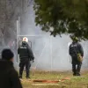 evros_kastanies