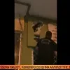 Γατάκι