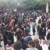 Κυψέλη