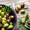 Επιτραπέζια ελιά