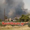 fotia kexries