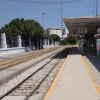 patra treno