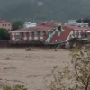 Καρδίτσα Ιανός