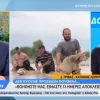 Κάτοικος
