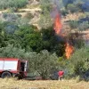 πυρκαγιά Πόρτο Ράφη