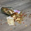 Επίδομα 400€ σε επιστήμονες: Πότε και πώς θα δοθεί