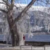 Παραλίμνιο Πάρκο Ιωαννίνων