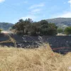 fotia