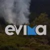 fotia