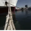 nautergates