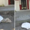 provato