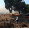 Φωτιά στην Κερατέα