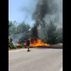 video fotia vilia